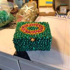 Umbonium Shell Trinket Box