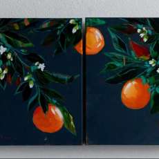Orange Blossoms