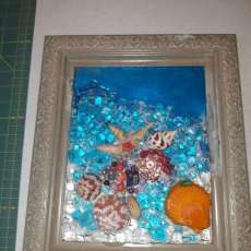 Shells in the Shallows