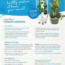 Tower Gardens