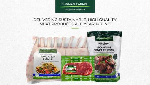 Meat Importer - Thomas Foods USA
