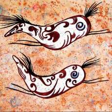 Charmed ~ Wild Ponies