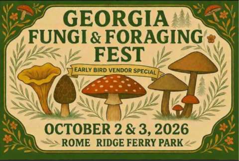 Claudia Fungihead Claudia Fungihead