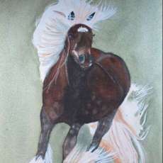 Mane Like a Cloud, Hooves Like Tunder