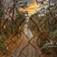 Railway Track Across Nature