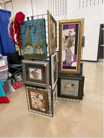 Lacrosse Wall Art Display