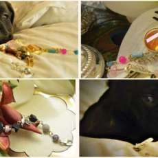 Bracelets & Puppy Collage