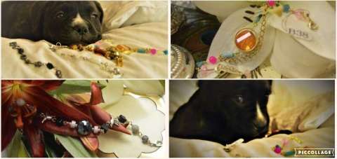 Bracelets & Puppy Collage