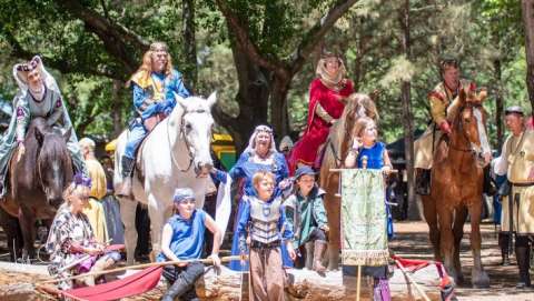 Sherwood Forest Faire