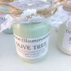 Olive Tree
