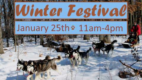 Winter Festival and Dog Sled Event