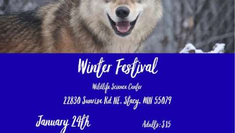 Winter Festival and Dog Sled Event