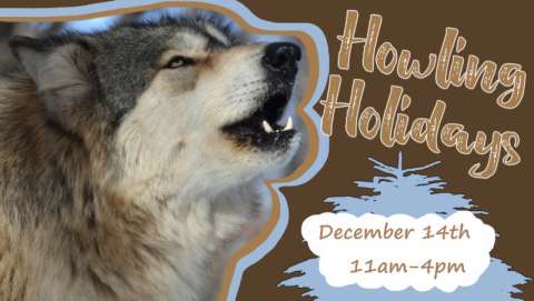 Howling Holidays