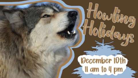 Howling Holidays