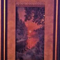 Winter Forest Sunset