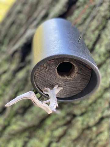 MWW Handcrafted Design - Specialty Birdhouse - Angled Tube