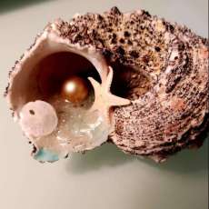 Beach Decor With Siesta Key Sand