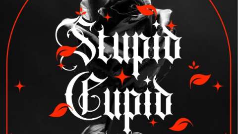 Friday the 13th Stupid Cupid