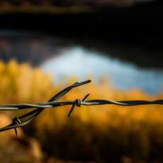 Barbed Wire