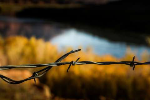 Barbed Wire