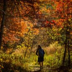 Fall Hiker