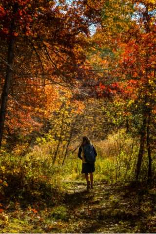Fall Hiker