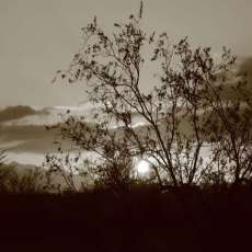 Desert Sunrise in Sepia