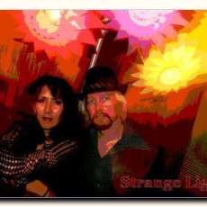 Pop art and the wild Lights