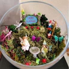 Fairy Garden
