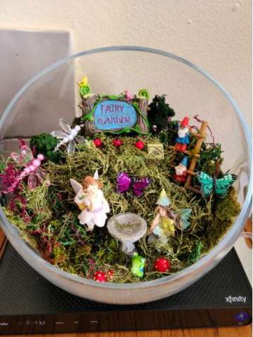 Fairy Garden