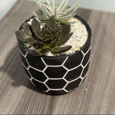 Glam Planter and Succulents