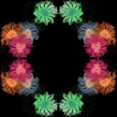 Floral Smudge Border