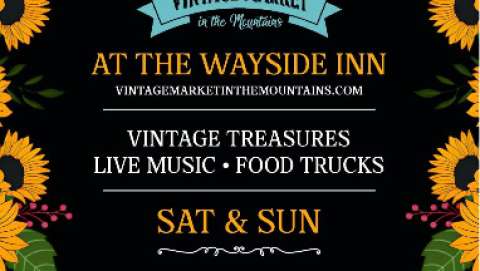 Vintage Market in the Mountains