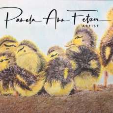 7 Ducklings in the Sand