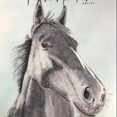 The Grey Horse