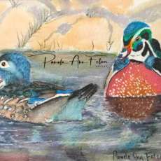 The Wood Duck Pair