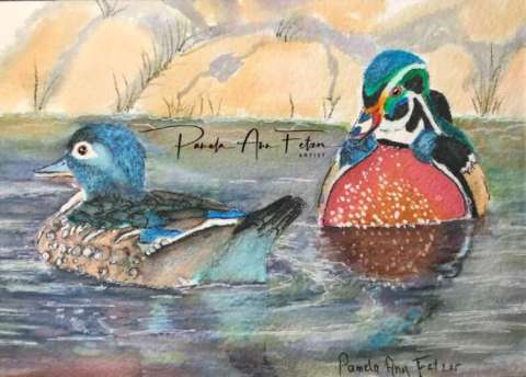 The Wood Duck Pair