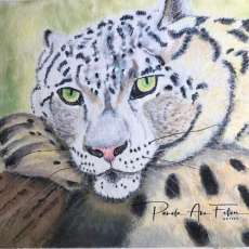 The Snow Leopard
