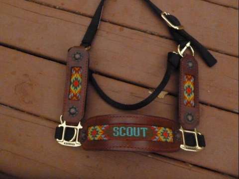 Custom Halters