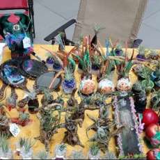 Princesses Gone Bad Event