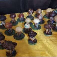 Mushroom Village