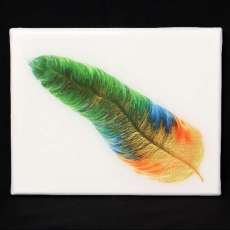Feather