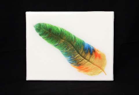 Feather