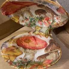 Double Clamshell With Mushroom Scene