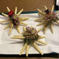 Starfish For Hostess Gift