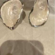 Pearlized Shells Silver Trim