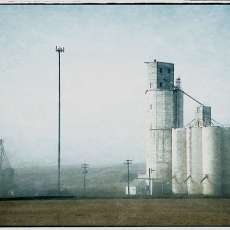 A Wheat Harvest Evening