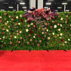 Hedge Wall Designs