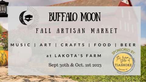 Buffao Moon Fall Artisan Market