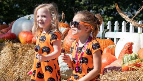 Lucinda Hartman Lucinda Hartman